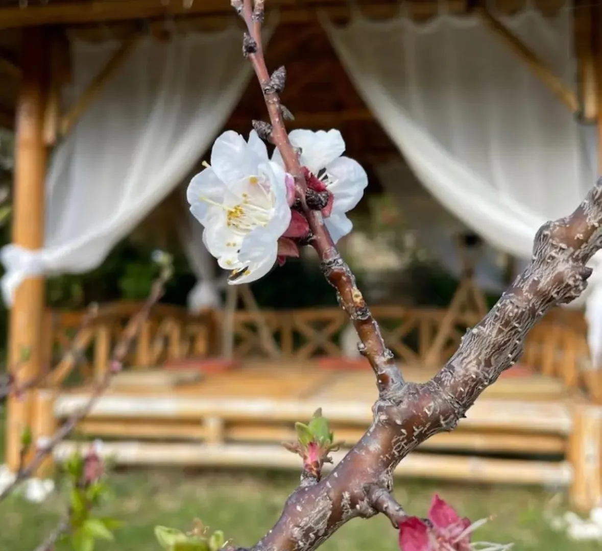 Homestay Cocon Entre Mer Et Vigne Saint-Cyr-sur-Mer France